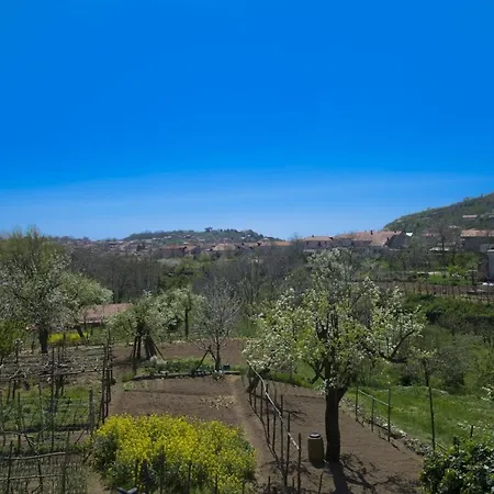 With Terrace In - 65 Sqm, Garden View Apartment *